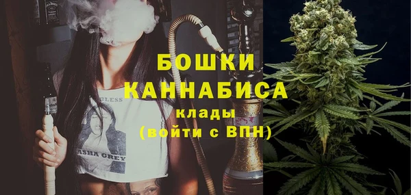 крисы Белокуриха