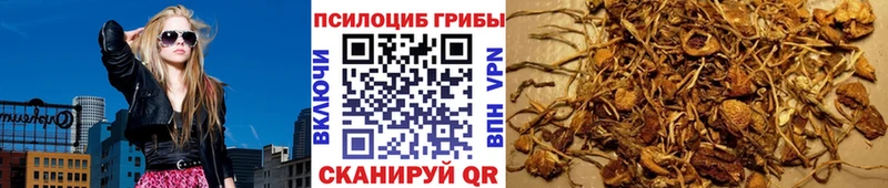 Купить  Никольск  Галлюциногенные грибы мицелий 
